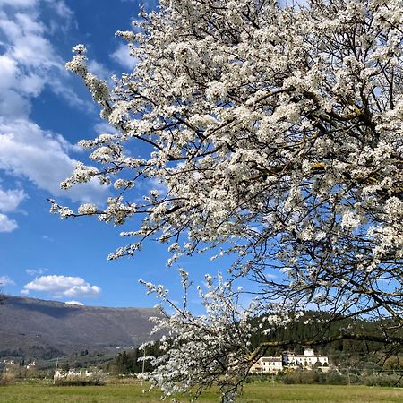 Accanto A Firenze Prato  Eksteriør billede