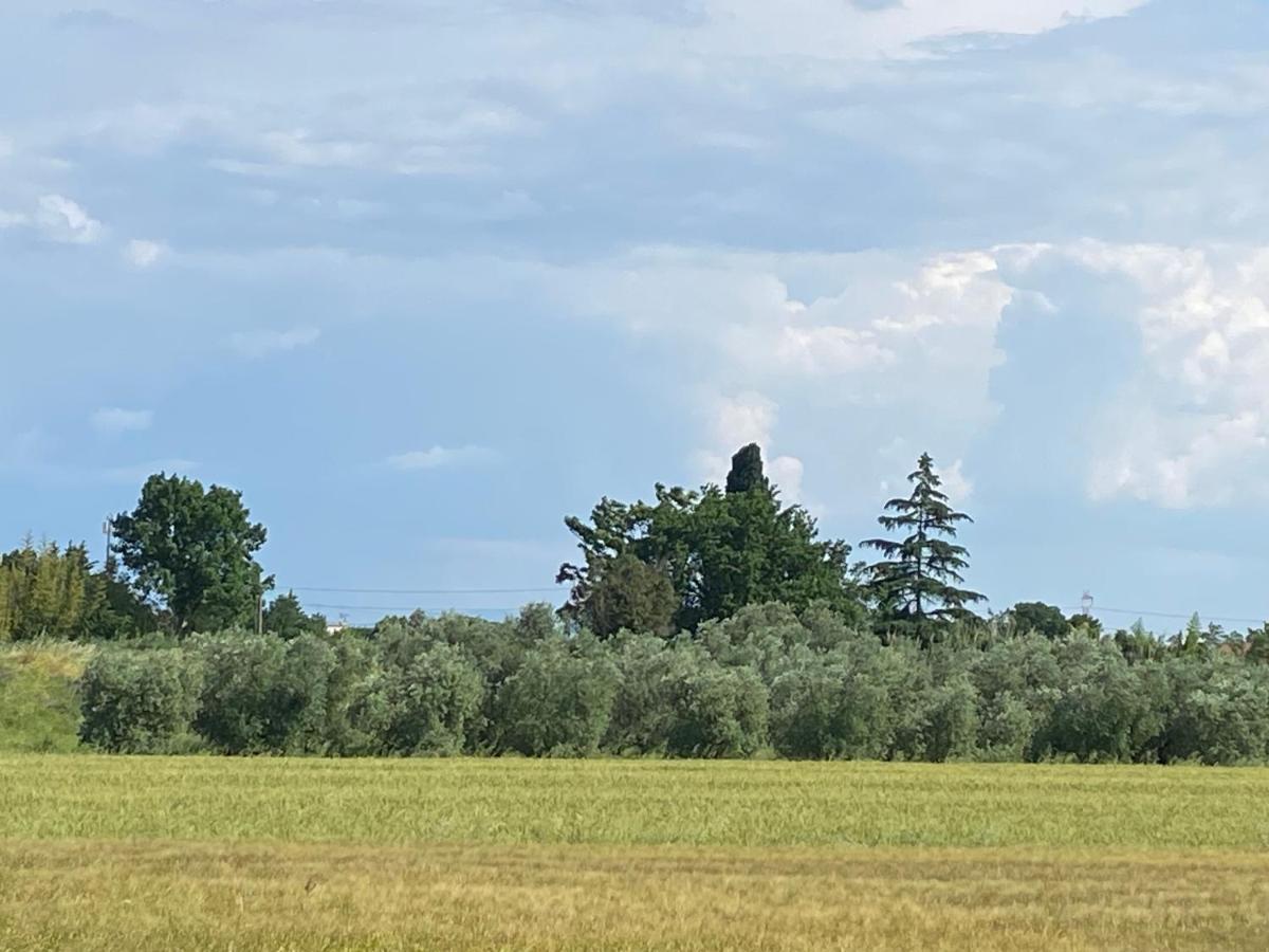 Accanto A Firenze Prato  Eksteriør billede
