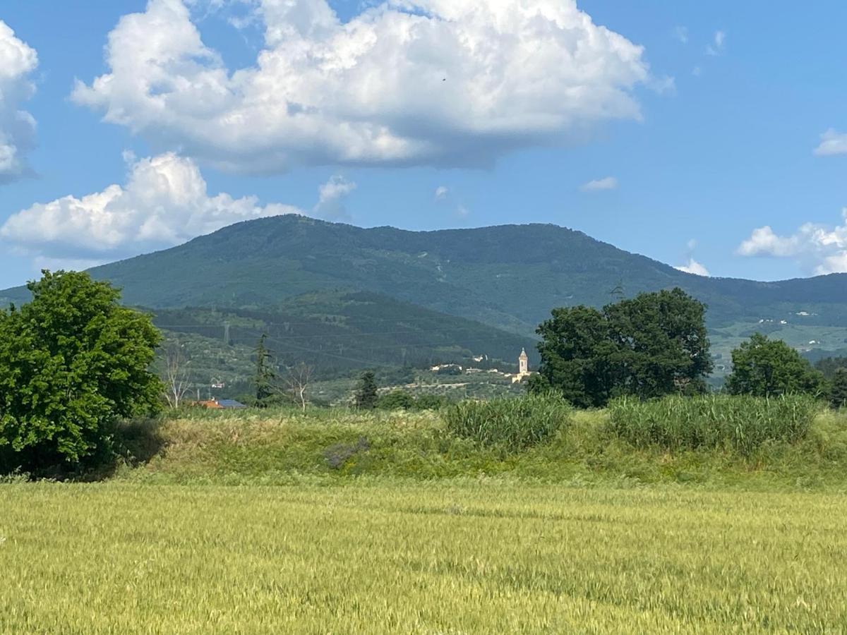 Accanto A Firenze Prato  Eksteriør billede